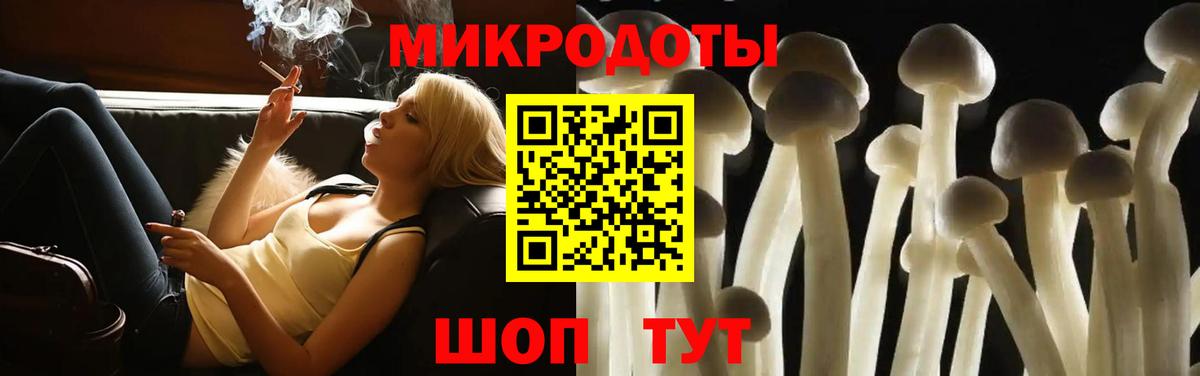 Чита  Псилоцибиновые грибы ЛСД  Вход с VPN 